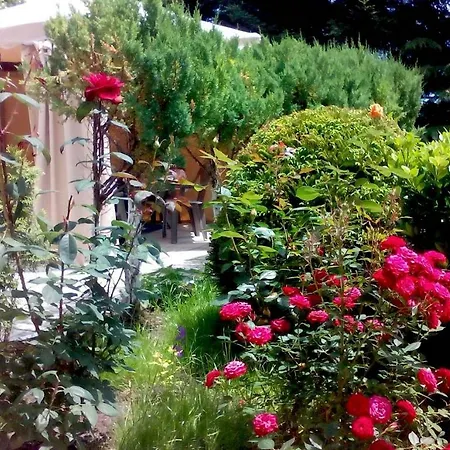 62a Doctor Luben Lazarov Street Апартаменты